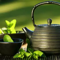 Green Tea and Weight Loss