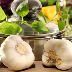 Bulgarian recipes with garlic