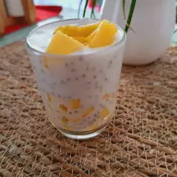 Chia Creams with Mango and Coconut Milk