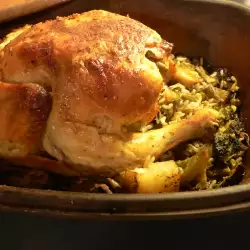 Stuffed Chicken with Onions and Rice