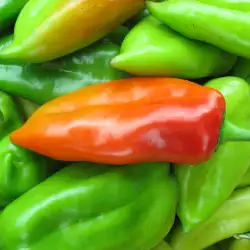 Tips on Freezing Peppers