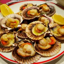 Coquilles Saint-Jacques with Olive Oil