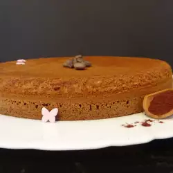 Cocoa Sponge Cake Layer