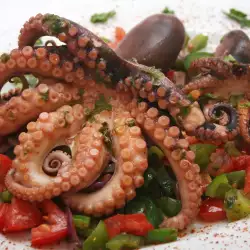 How to Cook Octopus?