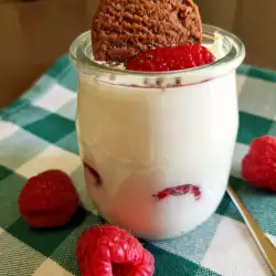Strained Yogurt Recipes with Milk