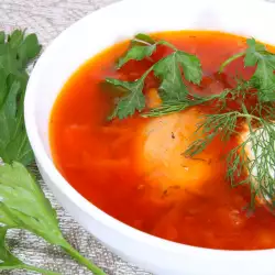 Borscht Soup