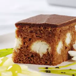 Chocolate Sponge Cake with Coconuts