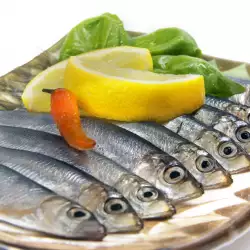 European Anchovies with Olive Oil