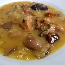 Mushroom Sauce with Chanterelle, Shiitake and Penny Bun Mushrooms