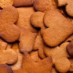 Ginger Cookies with Cocoa