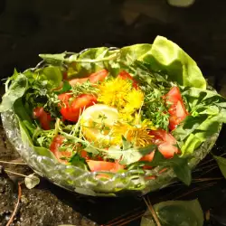 Salad with Dandelions