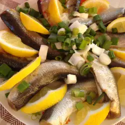 Herring with Olive Oil