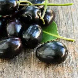 What is Jamun?