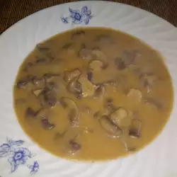 Balkan recipes with champignon mushrooms
