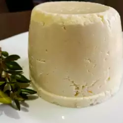 Homemade Sheeps Milk Yellow Cheese