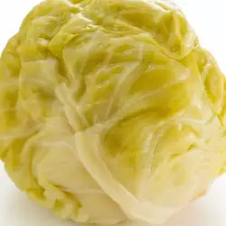 Winter recipes with cabbage