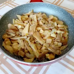 Bulgarian recipes with oyster mushrooms