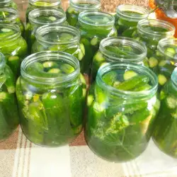 Balkan recipes with gherkins