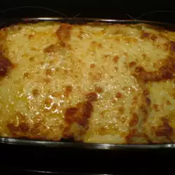 Lasagna with vegetables