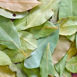 Varieties of Bay Leaf