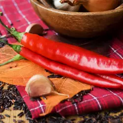 Is it dangerous to eat excesses of spicy food?