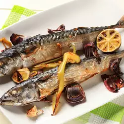 Oven-Baked Mackerel with Wine
