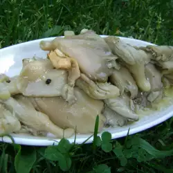 Marinated Oyster Mushrooms