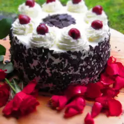 Mini Cake with chocolate