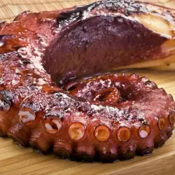 Festive Food Recipes with Octopus