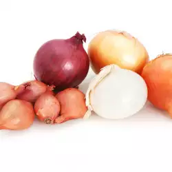 The Different Types of Onions