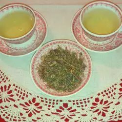 Respiratory Tract Soothing Thyme Decoction