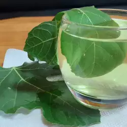 Fig Leaf Decoction