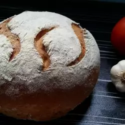 Whole Wheat Homemade Bread