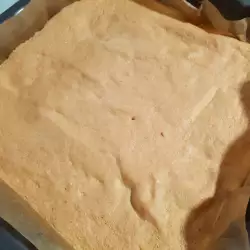 Sponge Cake Layer for a Roll