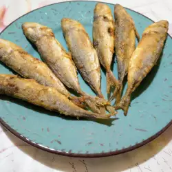 Fried Fish with olive oil