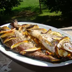Grilled Trout