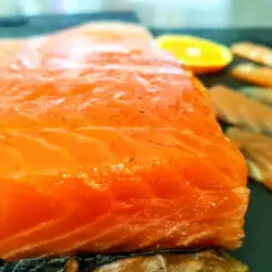 Winter recipes with salmon
