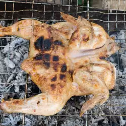 Grilled Partridge