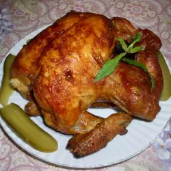 Picnic recipes with chicken