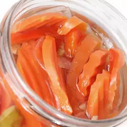 Canned Carrots