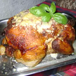 Italian-Style Chicken with White Wine