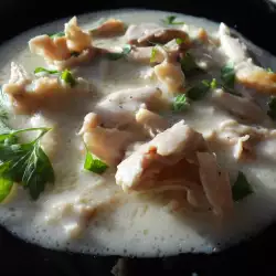 Fricassee with milk