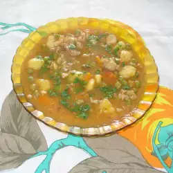 Stew with vegetables