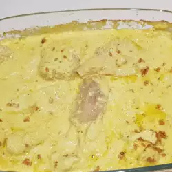 Oven-Baked Chicken Fillet with Mustard