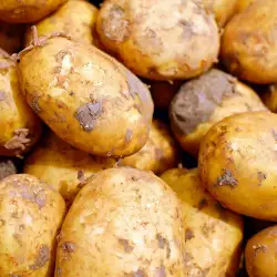 Harms and Benefits of Potatoes