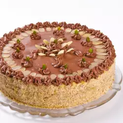 Party Cake with Chocolate
