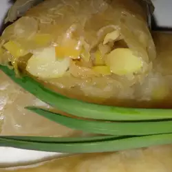 Spring Rolls with spring onions