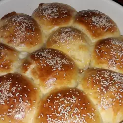 Balkan recipes with yeast