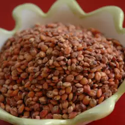 What is Sorghum, and What to Cook with it