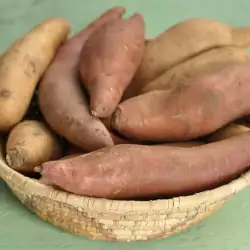 Wild Yams